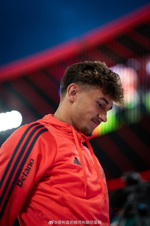 记者:除了阿莱 约维奇也是拜仁考虑的引援人选 记者:除了阿莱 约维奇也是拜仁考虑的引援人选